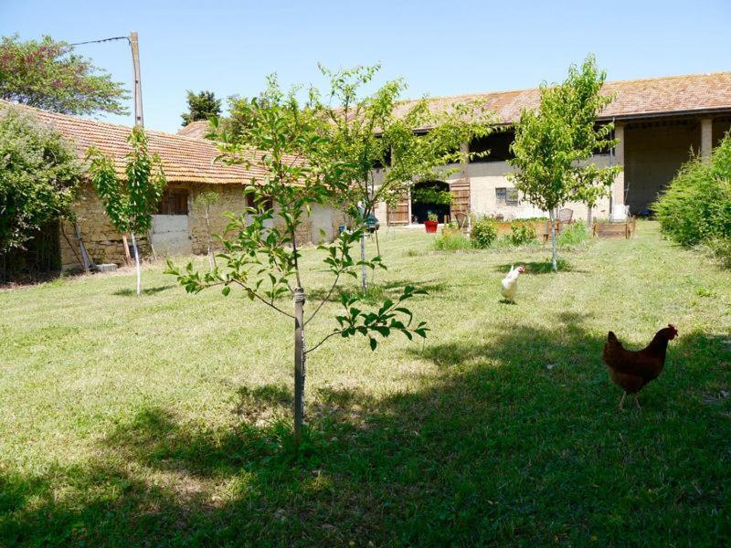 Ferme St Pierre 2 Suites Avec Repas, Piscine, Clim, Cheminee Ou Baignoire Spa Chabeuil Dış mekan fotoğraf