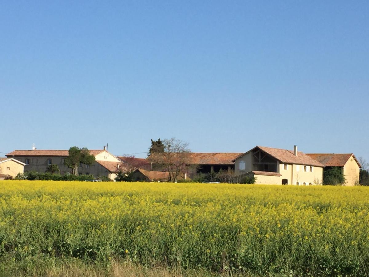 Ferme St Pierre 2 Suites Avec Repas, Piscine, Clim, Cheminee Ou Baignoire Spa Chabeuil Dış mekan fotoğraf